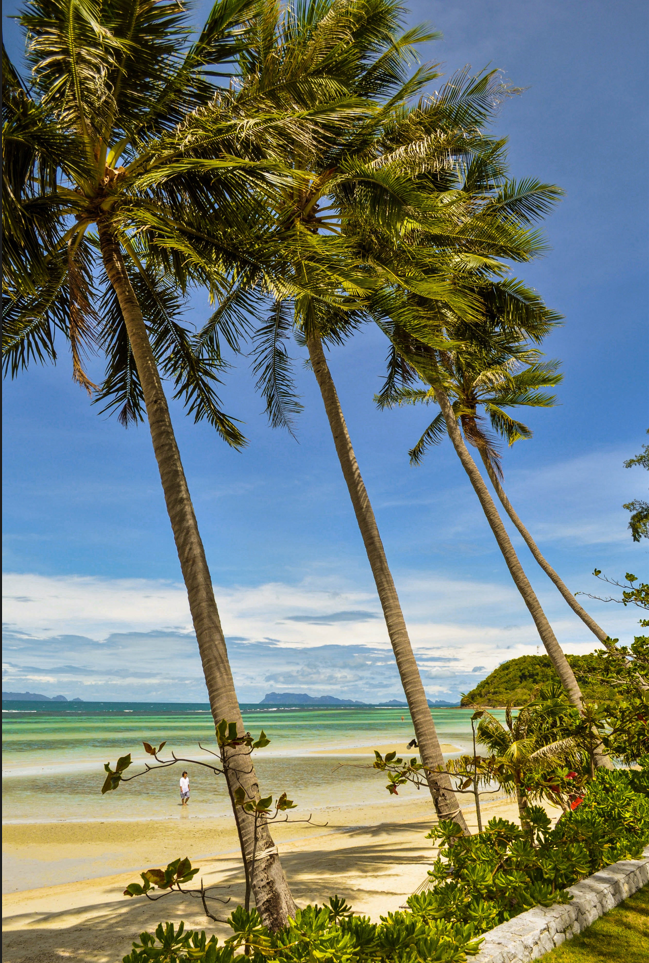 pexels-ke-phuah-13162586 (1)